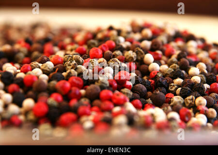 Mélange de poivre Banque D'Images
