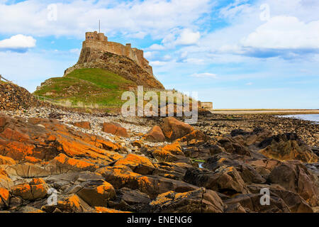 Château de Lindisfarne, Holy Isle, Northumberland, England, UK Banque D'Images