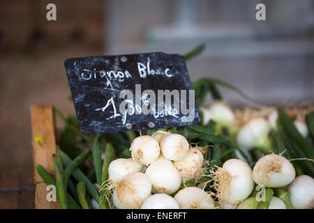 Oignons blancs à l'échelle locale du marché de Montcuq dimanche avec des produits alimentaires en France Banque D'Images