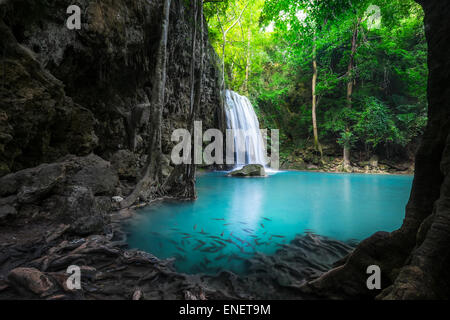 Jangle paysage avec de l'eau turquoise qui coule en cascade Erawan chute d'eau à des forêts tropicales. Parc national de Kanchanabu Banque D'Images