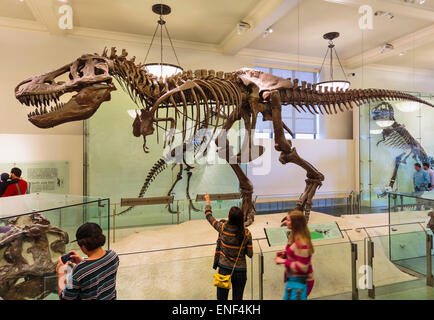 La ville de New York, État de New York, États-Unis d'Amérique. American Museum of Natural History. Squelette de Tyrannosaurus rex. Banque D'Images