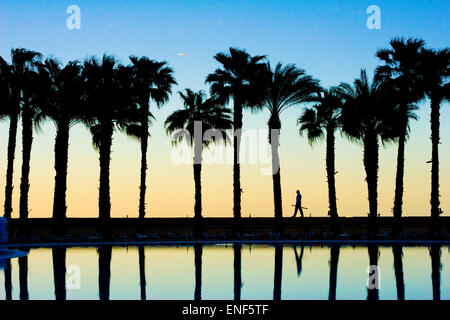 Dominic Dale (Pays de Galles) promenades le long de la voie par la piscine sous les palmiers pour son match de la coupe de Malte Banque D'Images