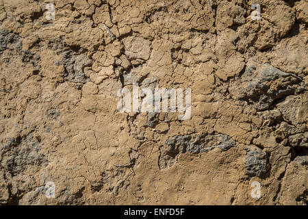 Mur de boue fissuré dans la région de l'himalaya, Népal Banque D'Images