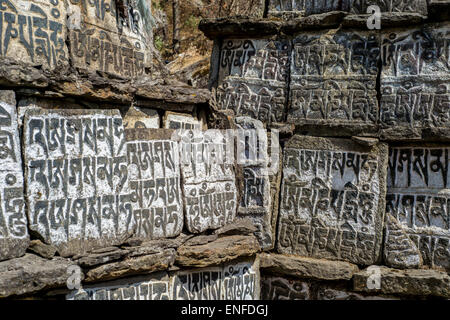 Vieille pierres mani inscrit avec un mantra bouddhiste dans l'himalaya, Népal Banque D'Images