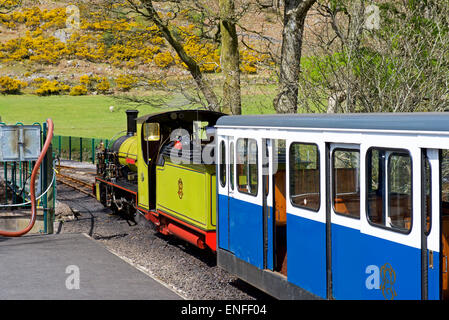 Train à la Station Dalegarth, sur l'étroitesse d'gue Holmrook & Eskdale Railway, Eskdale, Parc National de Lake District, Cumbria, Angleterre Banque D'Images