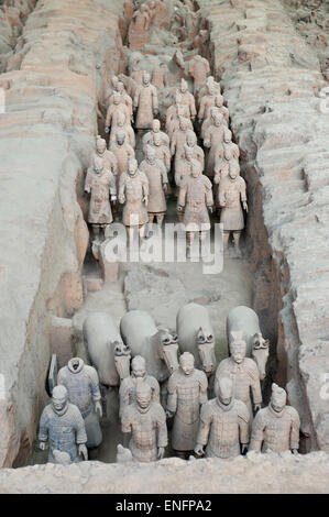 Noyau premier, l'article chiffres guerrier, chevaux, l'empereur Qin Shi Huang Mausolée, Armée de terre cuite, Xi&# 39;un Banque D'Images