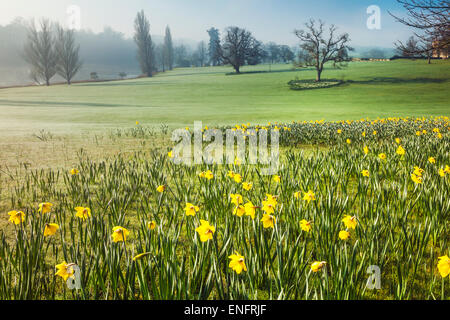 Bowood House dans le Wiltshire au printemps. Banque D'Images