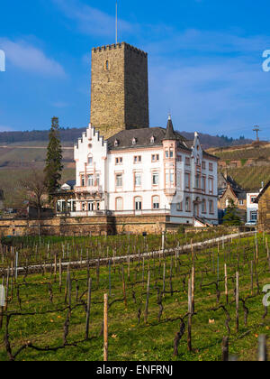 Boosenburg, Château supérieur, UNESCO World Heritage Site, Rüdesheim am Rhein, gorges du Rhin, Hesse, Allemagne Banque D'Images