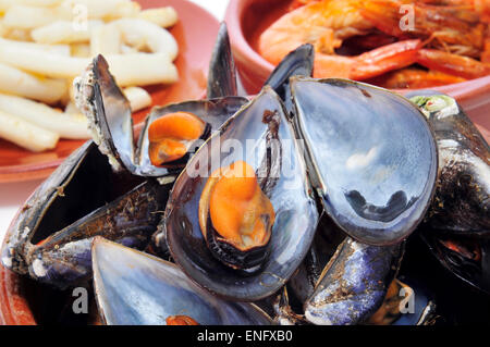 Libre de quelques tapas de fruits de mer, tels que moules moules vapeur vapeur (al), gambas al ajillo (crevettes à l'ail) ou Banque D'Images