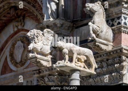 Sculpture de louve en face de la Cathédrale de Sienne, Italie Banque D'Images