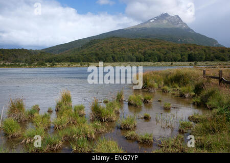 Rivière Lapataia Parc National Terre de Feu argentine Banque D'Images