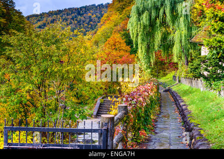 Jozankei, Japon feuillage d'automne. Banque D'Images