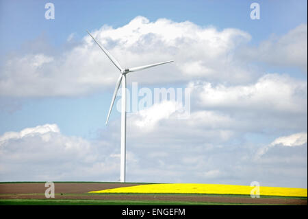 Éolienne isolée près d'un champ de fleurs de colza de printemps Banque D'Images