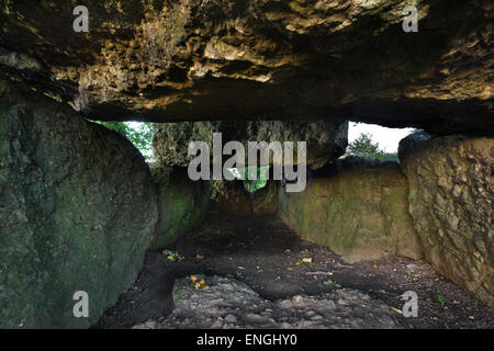 Intérieur du Grand Dolmen de Wéris, Ardennes Belges, Belgique Banque D'Images