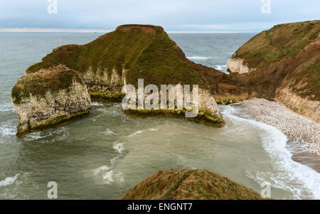La côte sauvage avec des falaises de craie et de flore que l'aube sur la mer du Nord à Flamborough Head, Yorkshire, UK. Banque D'Images