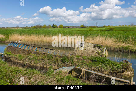 Bateau en bois à l'abandon de la moitié submergé dans les eaux de la rivière Hull entouré par une végétation sur un matin de printemps Banque D'Images