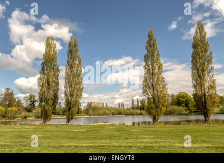 Vue panoramique sur la piscine, la Reine partie du lac dans le parc, à Blenheim Palace, Woodstock, Oxfordshire, England, UK. Banque D'Images