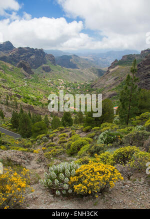 Gran Canaria, Las Cumbres - les zones les plus élevées de l'île, les approches de Roque Nublo, vue vers le sud en direction de Ayacata village Banque D'Images