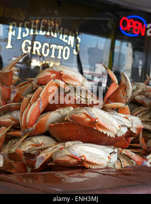 FISHERMANS WHARF crabes Dungeness fraîchement cuits à la vapeur en attente de préparation à Fisherman's Wharf Grotto Embarcadero San Francisco California USA Banque D'Images