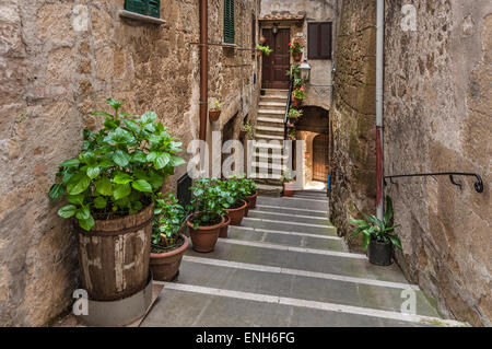 Ascendant et descendant les escaliers en brique avec des plantes en pot à Pitigliano, Province de Grosseto, Italie Banque D'Images