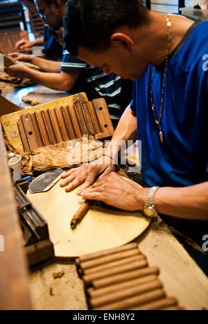 Un homme rouler des cigares Banque D'Images