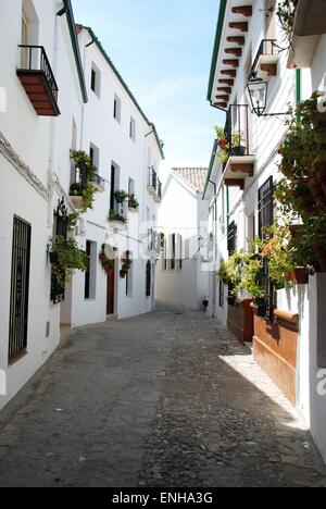 Rue étroite avec de jolies fleurs en pot sur le mur de la maison dans le Barrio la Villa district, Priego de Cordoba, Espagne. Banque D'Images