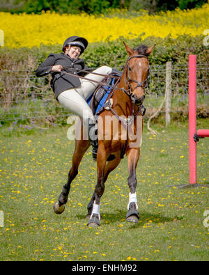 Karen Newey équitation son cheval 'Cricket' prend une chute après être sorti à Alvechurch Riding Club Horse Show Banque D'Images