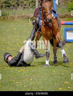 Karen Newey équitation son cheval 'Cricket' prend une chute après être sorti à Alvechurch Riding Club Horse Show Banque D'Images