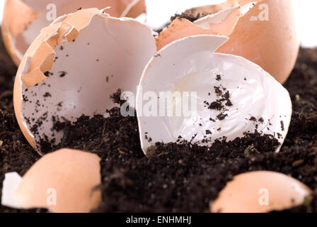 Matériel de compost sur le sol. Section transversale. Close up Banque D'Images