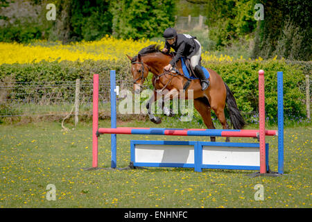 Karen Newey équitation son cheval 'Cricket' prend une chute après être sorti à Alvechurch Riding Club Horse Show Banque D'Images