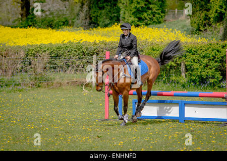 Karen Newey équitation son cheval 'Cricket' prend une chute après être sorti à Alvechurch Riding Club Horse Show Banque D'Images