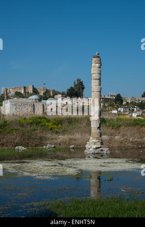 Cigognes blanches (Ciconia ciconia) nichant sur haut d'une colonne dans le Temple d'Artémis, Ephèse, Turquie Banque D'Images