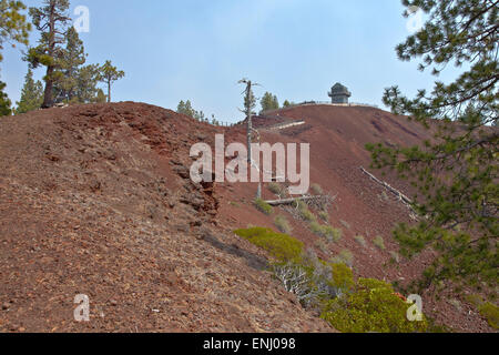 Lava Butte les arbres forestiers et près de Bend Oregon crater. Banque D'Images