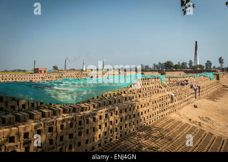 Le séchage des briques à une brique travaille dans l'Uttar Pradesh, Inde Banque D'Images