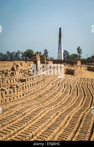 Le séchage des briques à une brique travaille dans l'Uttar Pradesh, Inde Banque D'Images