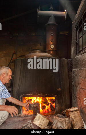 L'ajout de l'homme des journaux au feu d'un Pot Still.La chaleur est appliquée directement à la maison pour produire du vin, eau-de-South-We,Melnik Banque D'Images