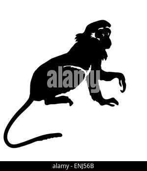 Singe. Hand drawn silhouette d'animal sur fond blanc Illustration de Vecteur