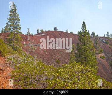 Lava Butte les arbres forestiers et près de Bend Oregon crater. Banque D'Images