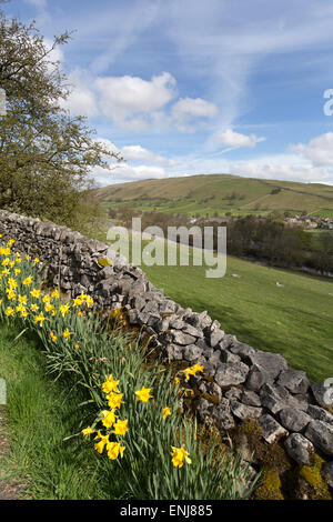Village de Kettlewell, Yorkshire, Angleterre. Jonquilles en pleine floraison avec le village de Kettlewell en arrière-plan. Banque D'Images