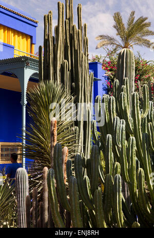 Jardin Yves Saint Laurent Maroc Marrakech Marrakech jardins marocains jardin Majorelle Banque D'Images