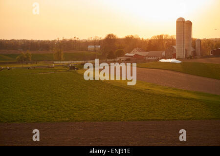 Amish farm au coucher du soleil, Schaefferstown, Liban County, California, USA Banque D'Images