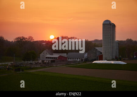 Amish farm au coucher du soleil, Schaefferstown, Liban County, California, USA Banque D'Images