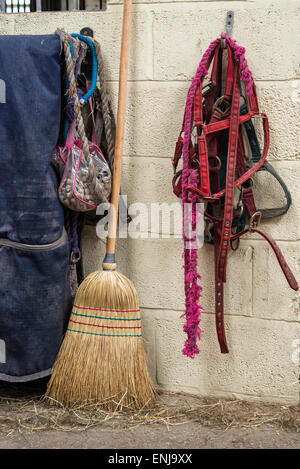 Les colliers de la tête et le plomb des cordes de raccrocher dans un bâtiment stable à côté d'une brosse de balayage et le cheval tapis. Banque D'Images