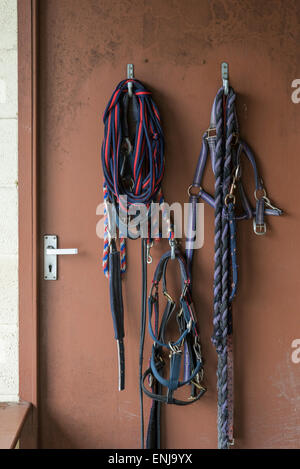 La tête des chevaux et les colliers des cordes de plomb suspendu à une porte dans un bâtiment d'équitation. Banque D'Images