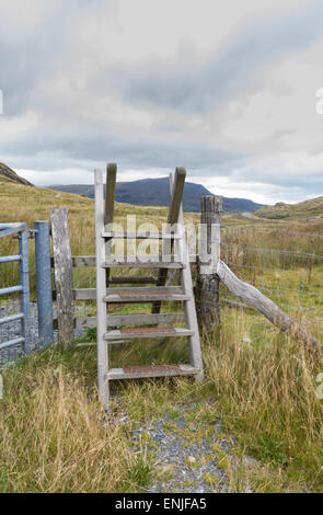 Stile typique de bain, plus de mur de pierre sèche, Parc National de Snowdonia, Gwynedd, Pays de Galles, Royaume-Uni. Banque D'Images