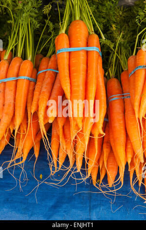 Carottes biologiques en vente au marché des fermiers, Santa Barbara, Californie, États-Unis d'Amérique Banque D'Images