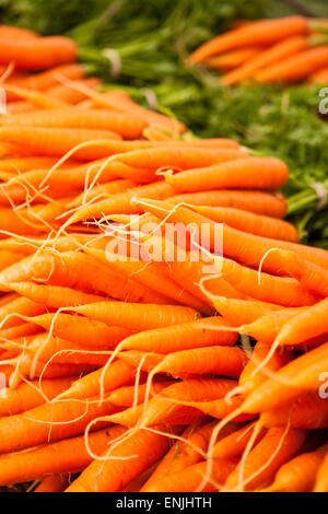 Les carottes biologiques en vente, Farmers Market, Santa Barbara, Californie, États-Unis d'Amérique Banque D'Images