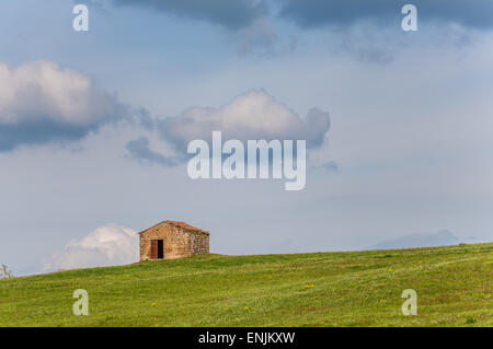 Brique rustique shack sur colline herbeuse en Toscane, Italie Banque D'Images