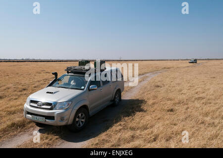 Off-road vehicles driving close to African buffalo herd, Savuti Marsh, Chobe National Park, Botswana, Africa Banque D'Images