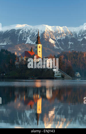 L'Assomption de Marie l'église de pèlerinage sur le lac de Bled, Bled, Slovénie, Europe Banque D'Images